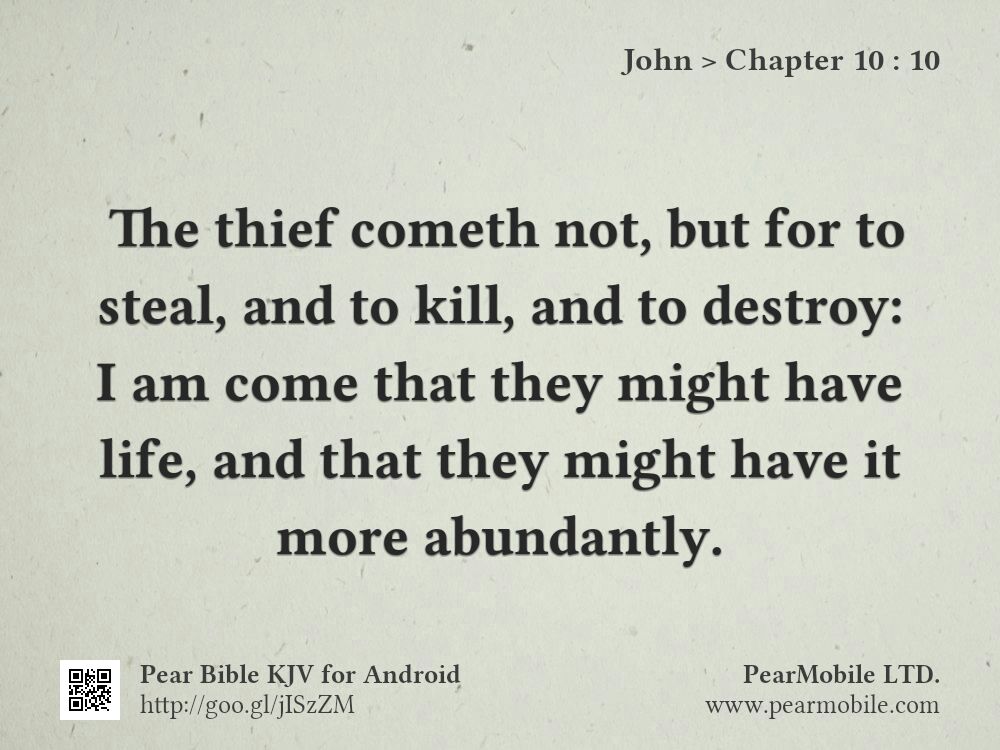 John, Chapter 10:10